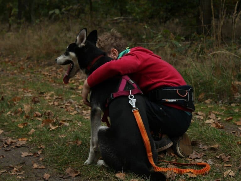 Huskyabenteuertag